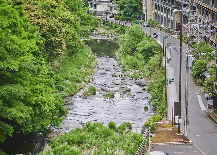 Hakone Pax Yoshino