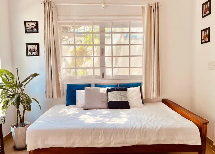 Pet Friendly hotel: Bamboo Cottages