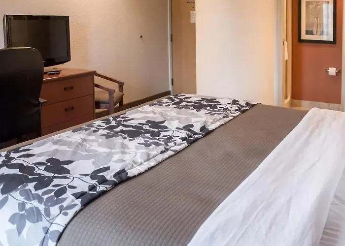 Hotel: Sleep Inn Pelham Oak Mountain