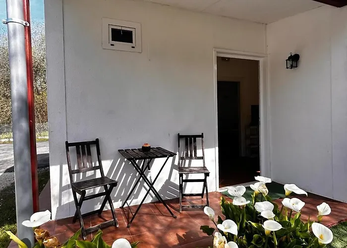 Hotel cerca del colegio: Camping Playa Sauces