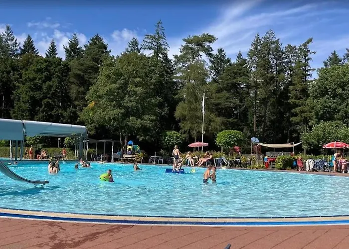 Sfeervol je In Bosrijke Omgeving