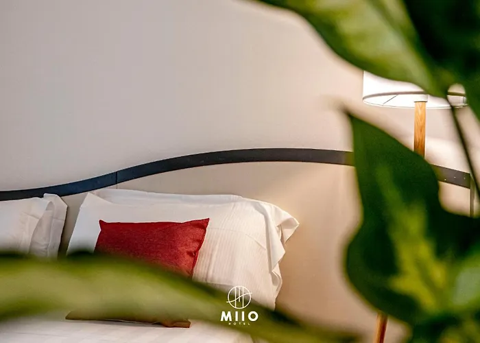  Miio