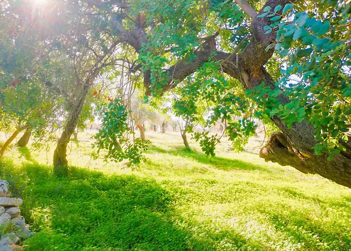 Hotel adatto agli animali: Agriturismo Terra Di Pace