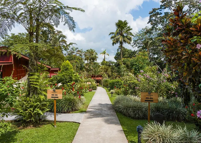 Catarata Eco