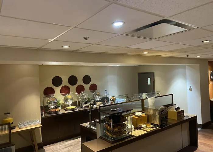 Pet Friendly hotel: Hilton Saint John