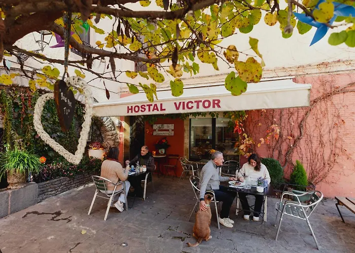 Hotel que admite mascotas: Hostal Victor