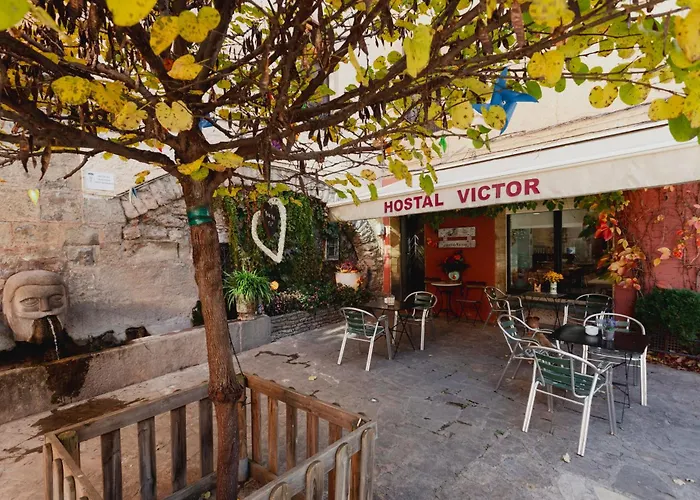 Hotel que admite mascotas: Hostal Victor