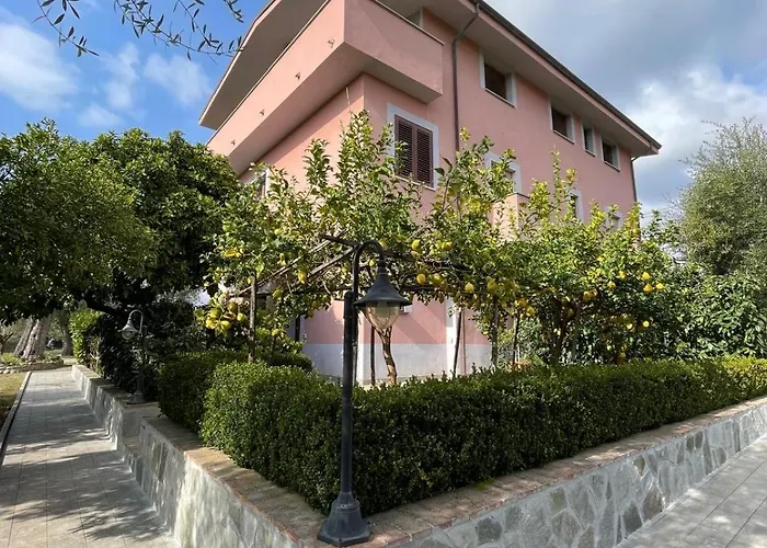 Rosada