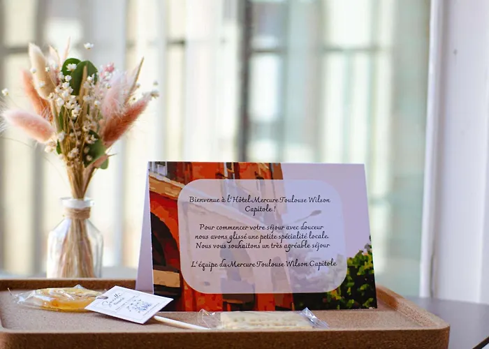 Hôtel accueillant les animaux: Mercure Toulouse Centre Wilson Capitole