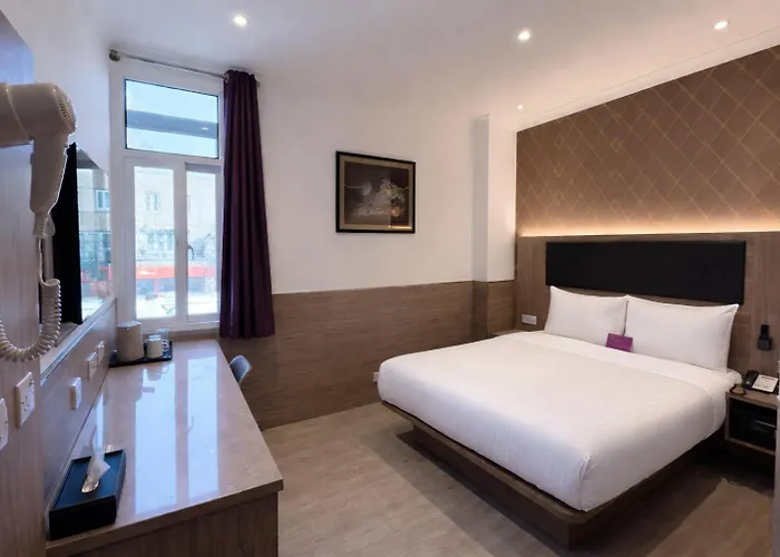 Animaux admis Eurotraveller - Premier - Tower Bridge