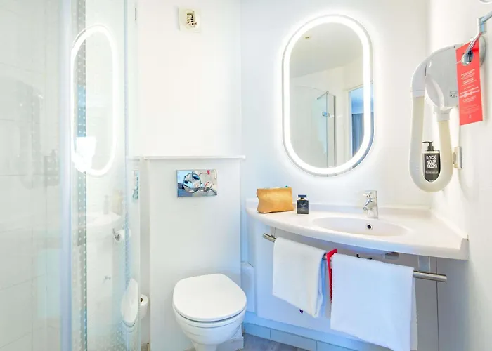 Hôtel accueillant les animaux: ibis Lyon Sud Vienne Saint-Louis