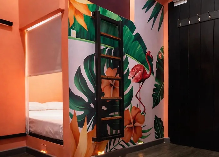 Hôtel avec vue: Seven Nights Hostel Cartagena
