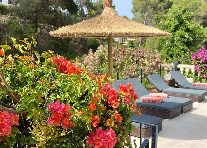 Palmera