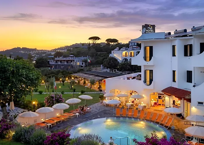 Hotel adatto agli animali: Hotel Park Victoria