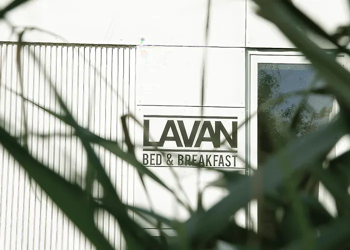 Lavan