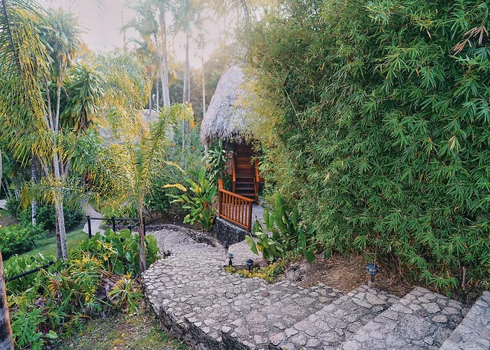 Villa with pool Blancaneaux By Francis Ford Coppola