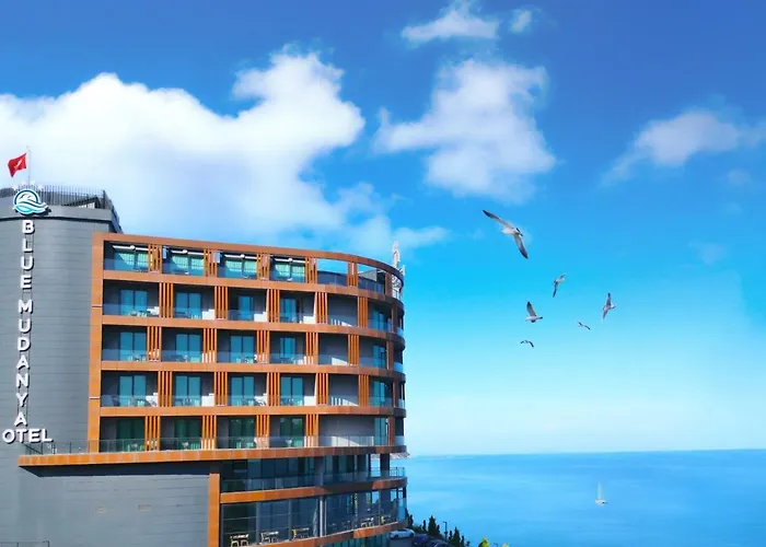 Blue Mudanya
