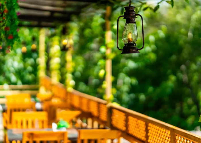 Rainbow ier