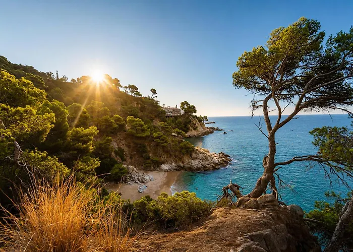 Kampaoh Tossa De Mar