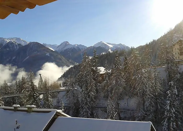 Alpenrose