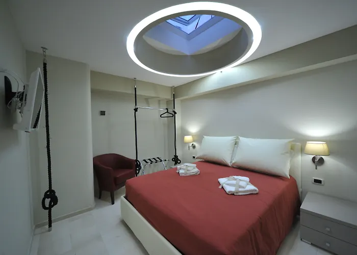 Gatto Bianco House