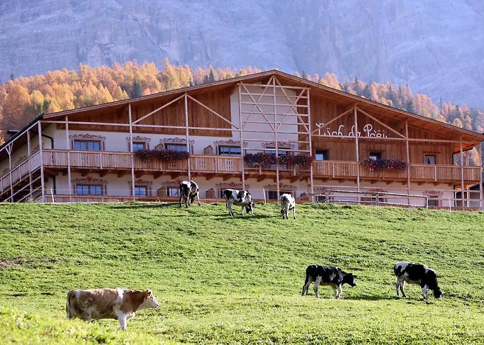 Hotel adatto agli animali: Luech Da Pcei