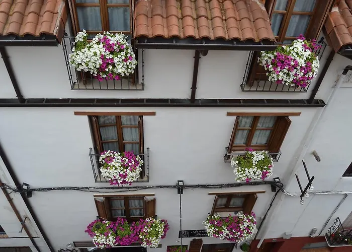 Apartamentos La Buhardilla