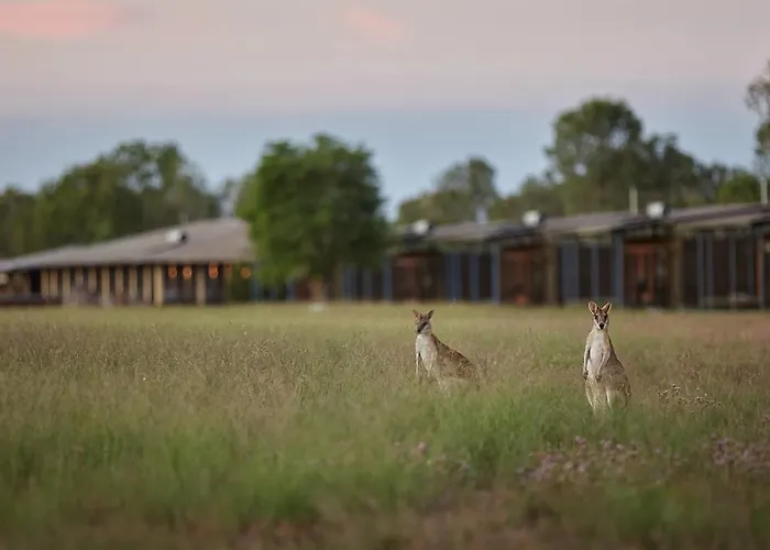 Wildman Wilderness Lodge