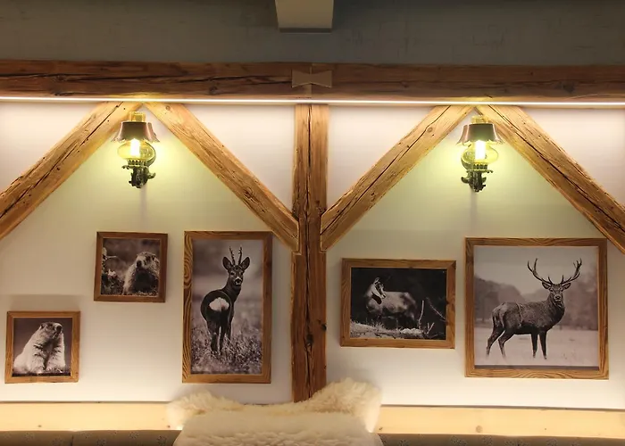 Hotel adatto agli animali: Rifugio Viviani Pradalago