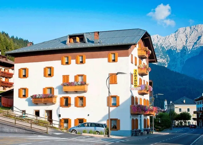 Hotel adatto agli animali: Albergo Erika