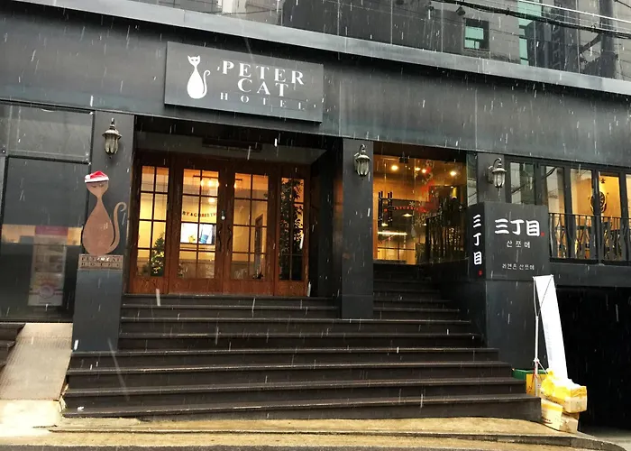 Petercat Shinchon