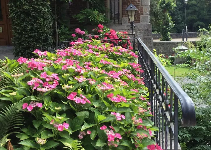 Appartement: La Villa Des Roses