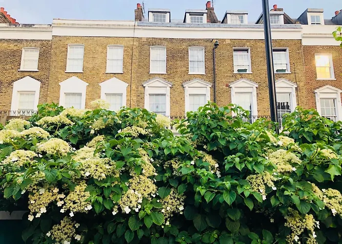 Hotel: Camden Town Garden Cabin