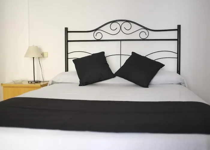 Animaux admis Hostal Europa