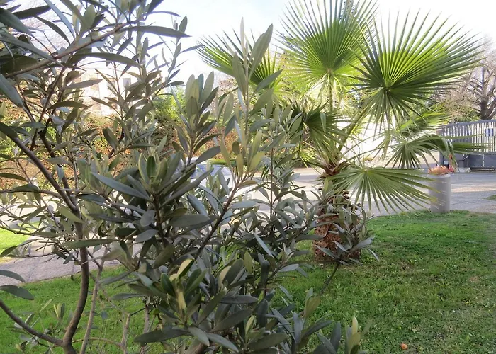 Kyriad Cap Sud