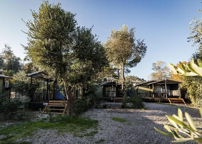 Hotel adatto agli animali: Oasi Camping