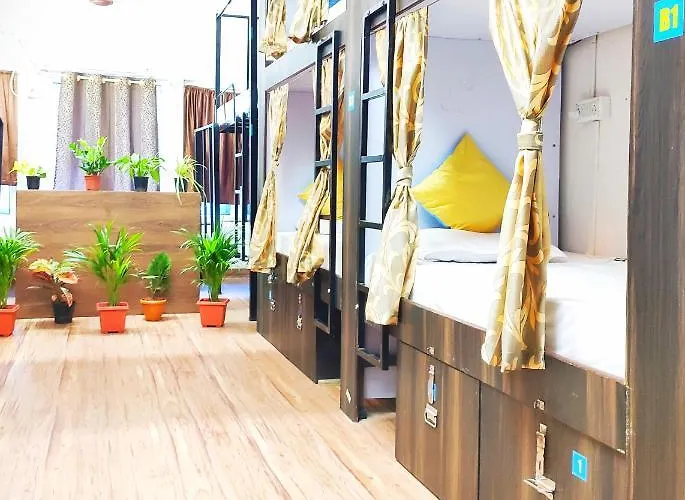 Backpackers Inn