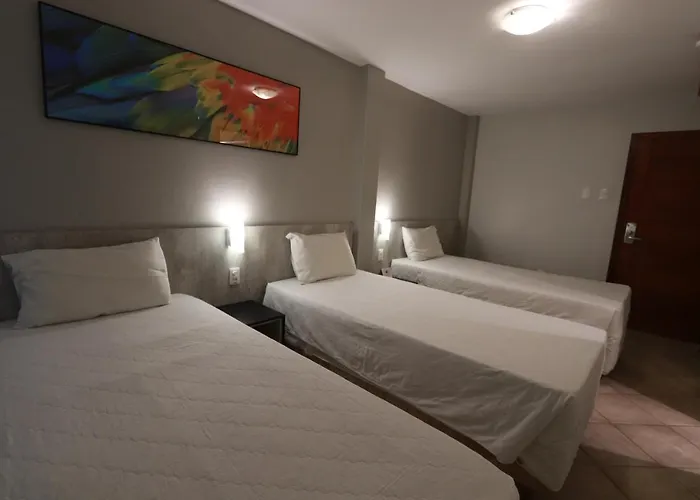 Perros hoteles 